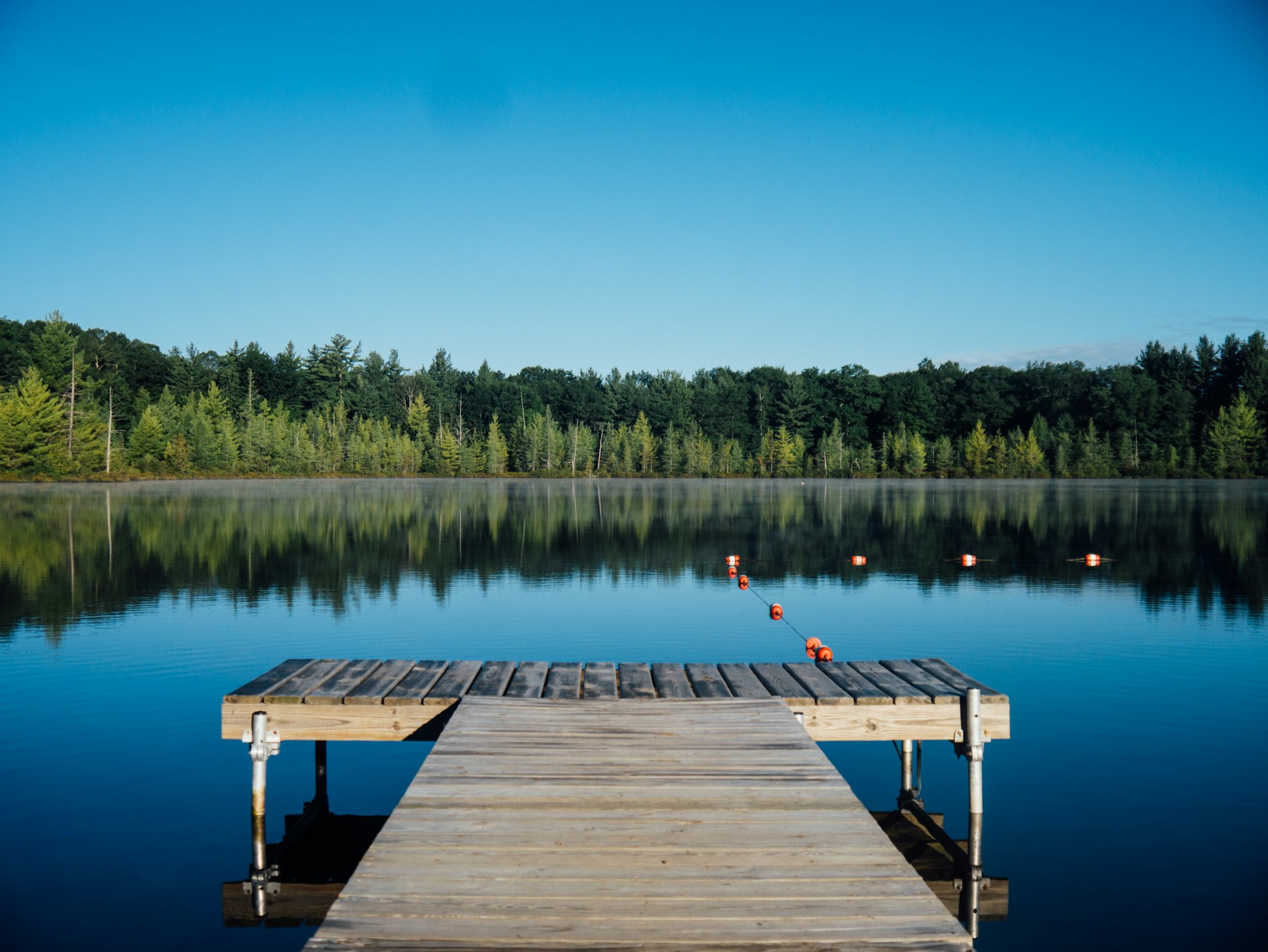 Lac et forêt préservés